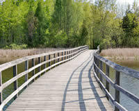 Environmental walkway/bridges